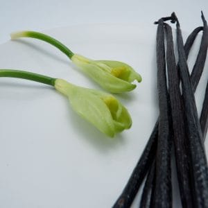 Premium Bali Vanilla Beans Planifolia Grade A natural gourmet vanilla pods